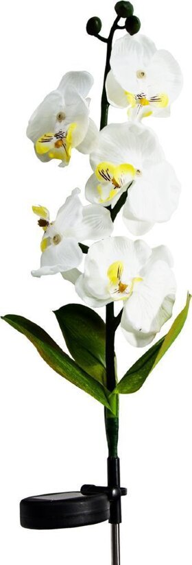 Светильник садово-парковый на солнечной батарее &quot;Орхидея белая с желтым&quot;, 5 LED  белый, 70см , PL301