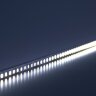 Купить Светодиодная LED лента Feron LS501, 120SMD(2835)/м 11Вт/м 24V 5000*8*1.22мм 6000К в интернет-магазине электрики в Москве Альт-Электро