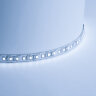 Купить Cветодиодная LED лента Feron LS612, 120SMD(2835)/м 9.6Вт/м  5м IP20 12V 6500К в интернет-магазине электрики в Москве Альт-Электро
