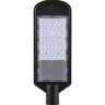 Купить Светодиодный уличный консольный светильник Feron SP3031 30W 6400K 230V, черный в интернет-магазине электрики в Москве Альт-Электро
