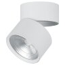 Купить Светодиодный светильник Feron AL520 накладной 25W 4000K белый в интернет-магазине электрики в Москве Альт-Электро