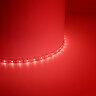 Купить Cветодиодная LED лента Feron LS604, 60SMD(2835)/м 4.8Вт/м  5м IP65 12V красный в интернет-магазине электрики в Москве Альт-Электро